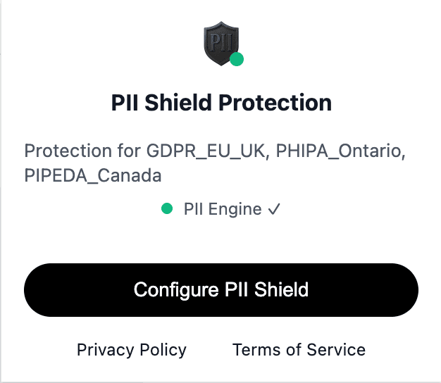 PII Shield Extension Interface